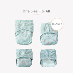 Mystery All-in-One Snap diaper - FINAL SALE